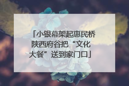 小银幕架起惠民桥 陕西府谷把“文化大餐”送到家门口