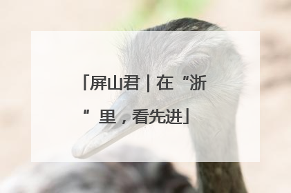 屏山君｜在“浙”里，看先进