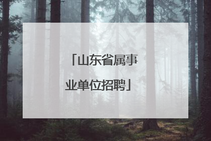 山东省属事业单位招聘