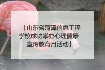 山东省菏泽信息工程学校成功举办心理健康宣传教育月活动