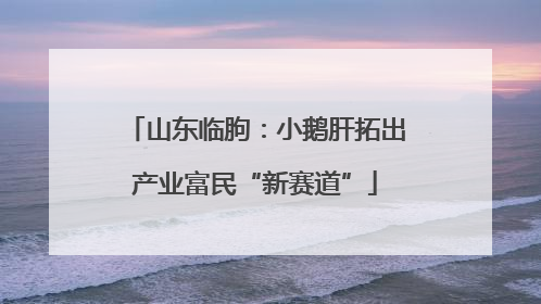 山东临朐：小鹅肝拓出产业富民“新赛道”