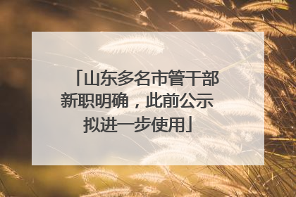 山东多名市管干部新职明确，此前公示拟进一步使用