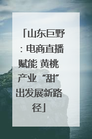 山东巨野：电商直播赋能 黄桃产业“甜”出发展新路径