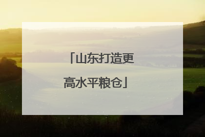 山东打造更高水平粮仓