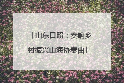 山东日照：奏响乡村振兴山海协奏曲