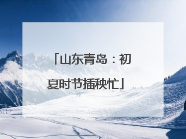 山东青岛：初夏时节插秧忙