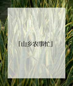 山乡农事忙