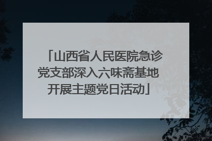 山西省人民医院急诊党支部深入六味斋基地开展主题党日活动
