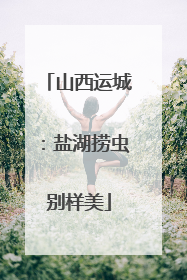 山西运城：盐湖捞虫别样美