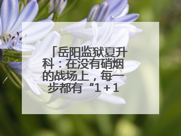 岳阳监狱夏升科：在没有硝烟的战场上，每一步都有“1＋1＝2”的笃定