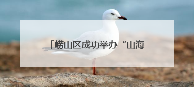 崂山区成功举办“山海相遇 同心共融”欧美同学会青年联谊活动