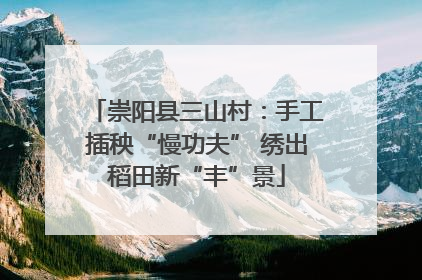 崇阳县三山村：手工插秧“慢功夫” 绣出稻田新“丰”景