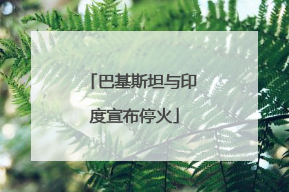 巴基斯坦与印度宣布停火