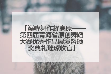 巅峰舞作耀高原——第四届青海省原创舞蹈大赛优秀作品展演暨颁奖典礼璀璨收官