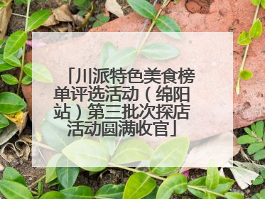 川派特色美食榜单评选活动（绵阳站）第三批次探店活动圆满收官