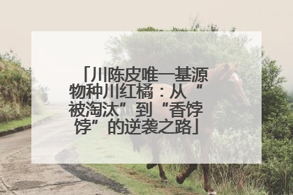 川陈皮唯一基源物种川红橘：从“被淘汰”到“香饽饽”的逆袭之路