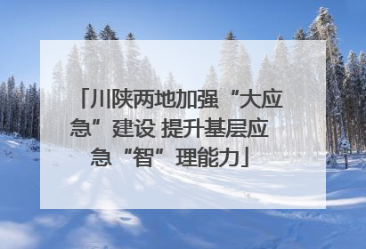 川陕两地加强“大应急”建设 提升基层应急“智”理能力