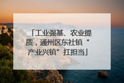 工业强基、农业提质，通州区东社镇“产业兴镇”扛担当