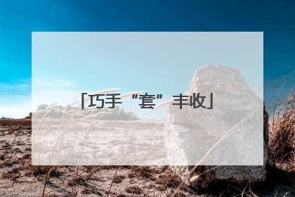 巧手“套”丰收