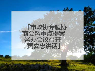 市政协专题协商会暨重点提案督办会议召开 黄喜忠讲话