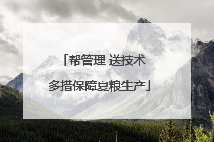 帮管理 送技术 多措保障夏粮生产