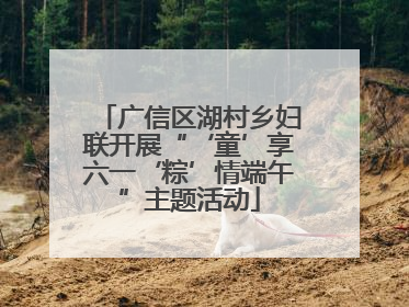 广信区湖村乡妇联开展“‘童’享六一‘粽’情端午”主题活动