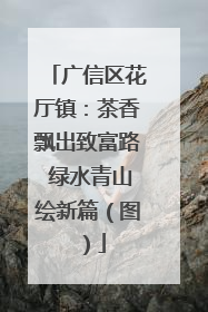 广信区花厅镇：茶香飘出致富路 绿水青山绘新篇（图）