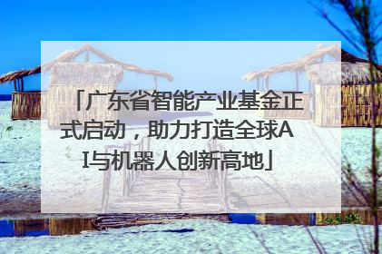 广东省智能产业基金正式启动，助力打造全球AI与机器人创新高地