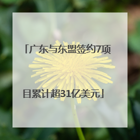 广东与东盟签约7项目累计超31亿美元