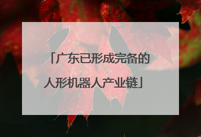 广东已形成完备的人形机器人产业链