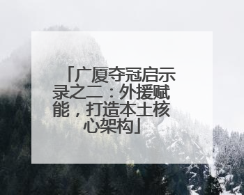广厦夺冠启示录之二：外援赋能，打造本土核心架构