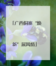 广西侗寨“焕新”展风情