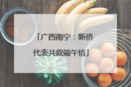 广西南宁：新侨代表共叙端午情