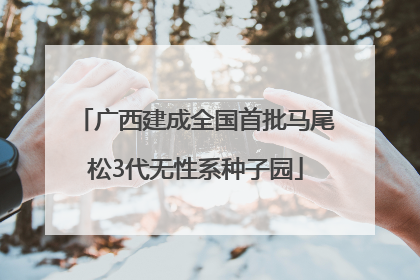 广西建成全国首批马尾松3代无性系种子园