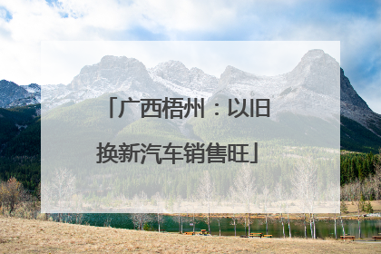 广西梧州：以旧换新汽车销售旺
