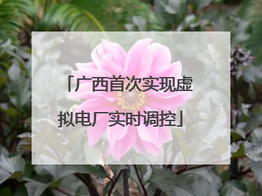 广西首次实现虚拟电厂实时调控