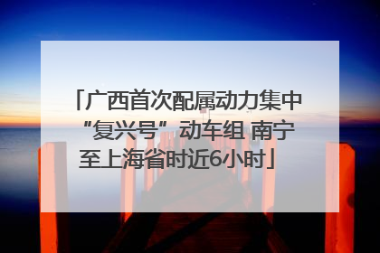 广西首次配属动力集中“复兴号”动车组 南宁至上海省时近6小时
