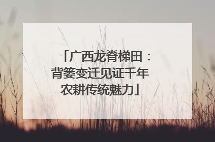 广西龙脊梯田：背篓变迁见证千年农耕传统魅力