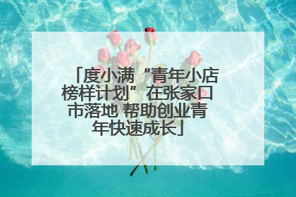 度小满“青年小店榜样计划”在张家口市落地 帮助创业青年快速成长