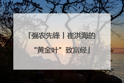强农先锋丨崔洪海的“黄金叶”致富经