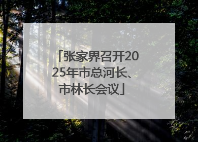 张家界召开2025年市总河长、市林长会议