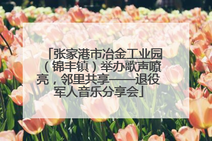 张家港市冶金工业园（锦丰镇）举办歌声嘹亮，邻里共享——退役军人音乐分享会