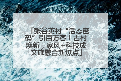 张谷英村“活态密码”引百万客！古村焕新，家风+科技成文旅融合新爆点