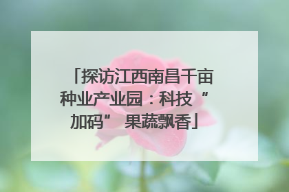 探访江西南昌千亩种业产业园：科技“加码” 果蔬飘香