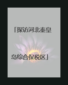 探访河北秦皇岛综合保税区