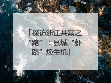 探访浙江共富之“路”：县城“虾路”焕生机