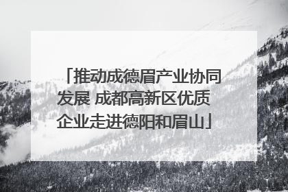 推动成德眉产业协同发展 成都高新区优质企业走进德阳和眉山