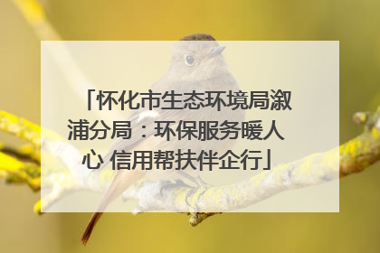 怀化市生态环境局溆浦分局：环保服务暖人心 信用帮扶伴企行