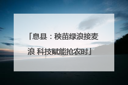 息县：秧苗绿浪接麦浪 科技赋能抢农时