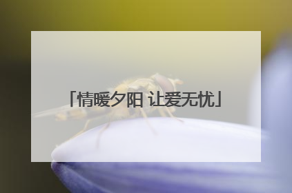 情暖夕阳 让爱无忧